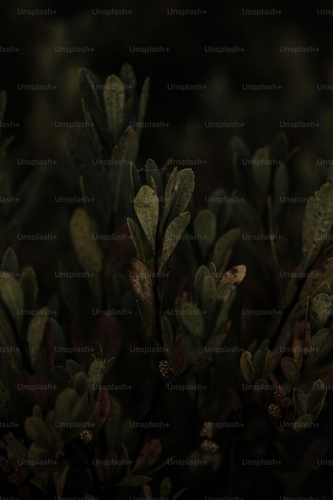 https://img2.utuku.imgcdc.com/650x0/news/20250905/43a5a36f-374b-4ab9-acfa-1da8989b3f06.jpg